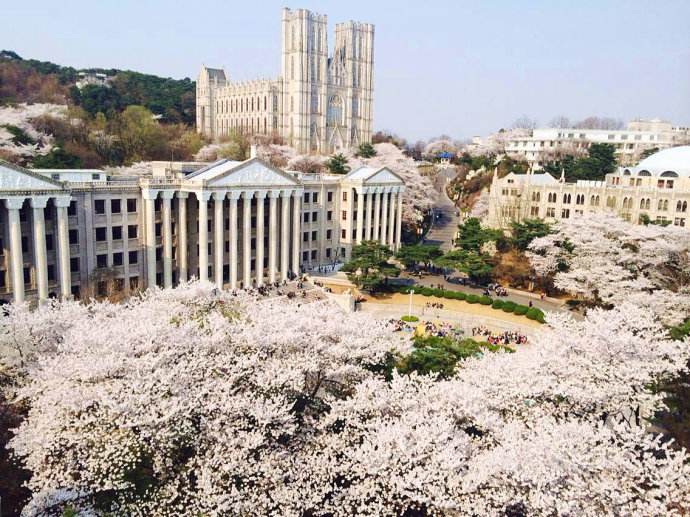 庆熙大学11.jpg